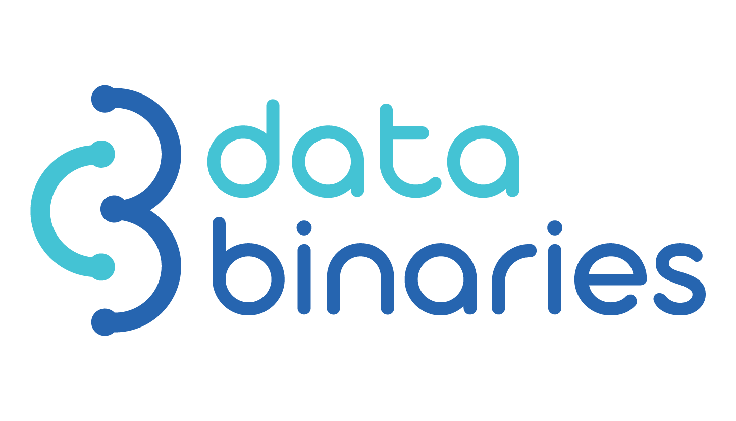 Data Binaries